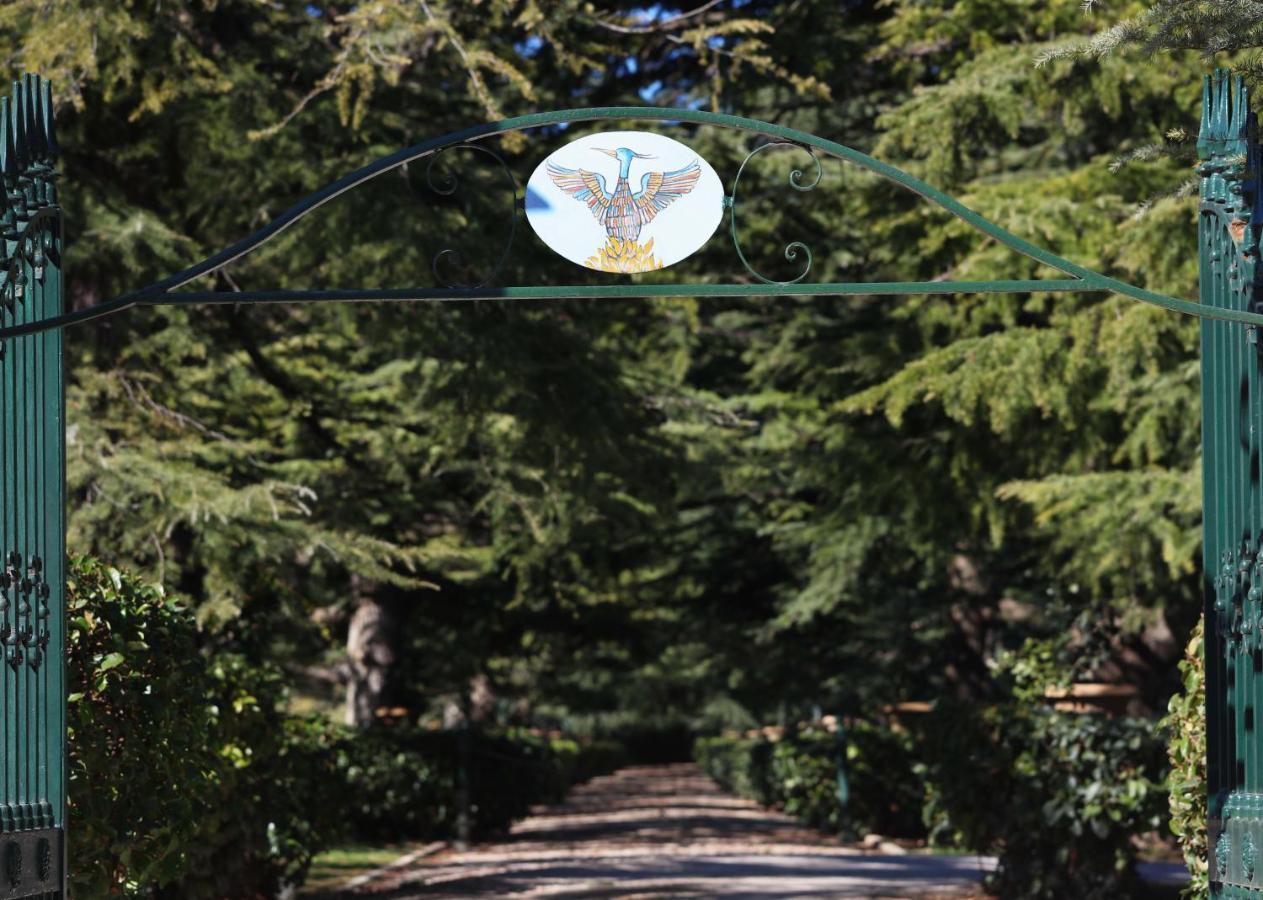 Resort Fenicia